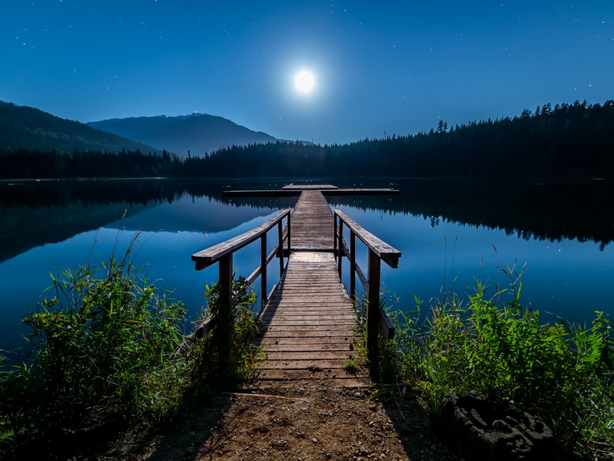 respirasi-tanaman